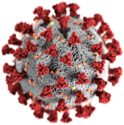 新型コロナウイルス感染症 / SARS-Cov2